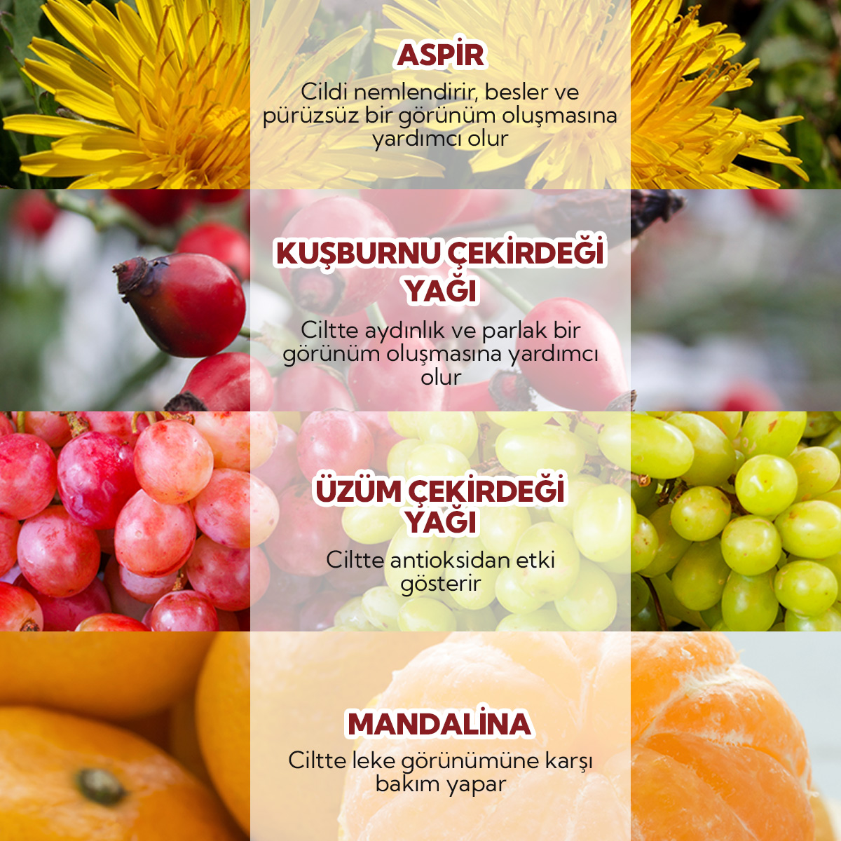 8684215390006---KARE-3