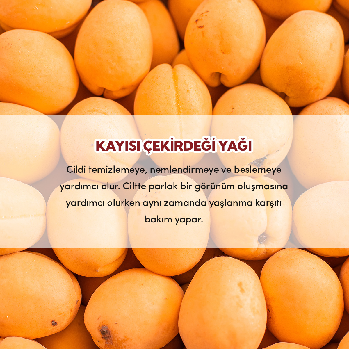 8684215390273---KARE-3