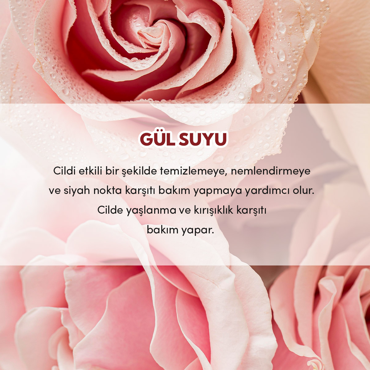 8684215390426---KARE-3