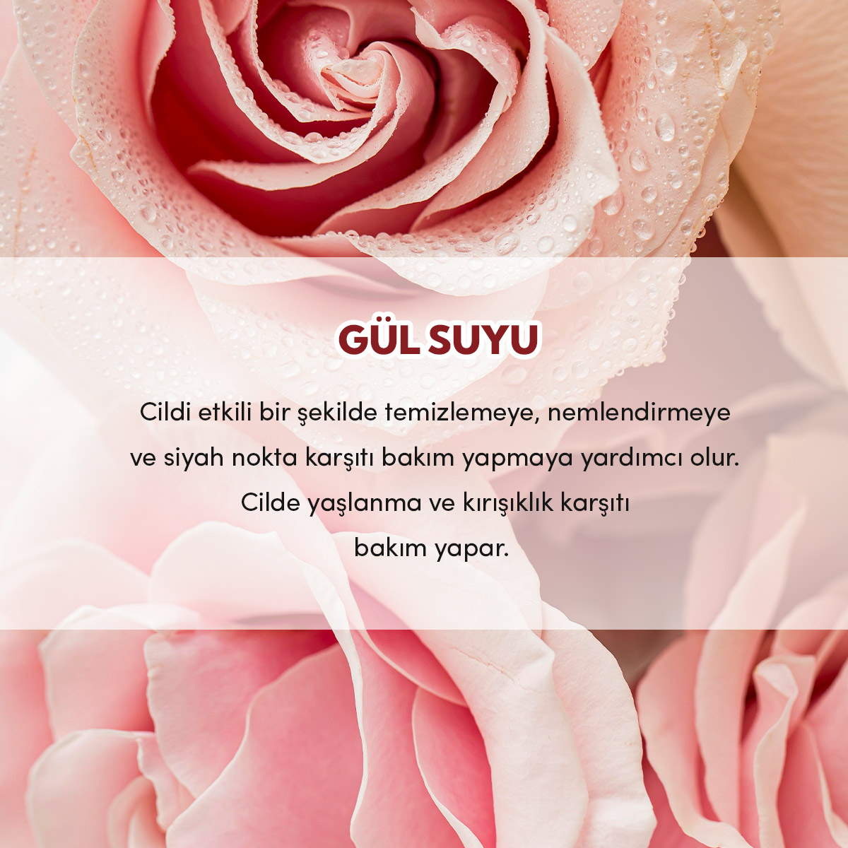 8684215391140---KARE-3