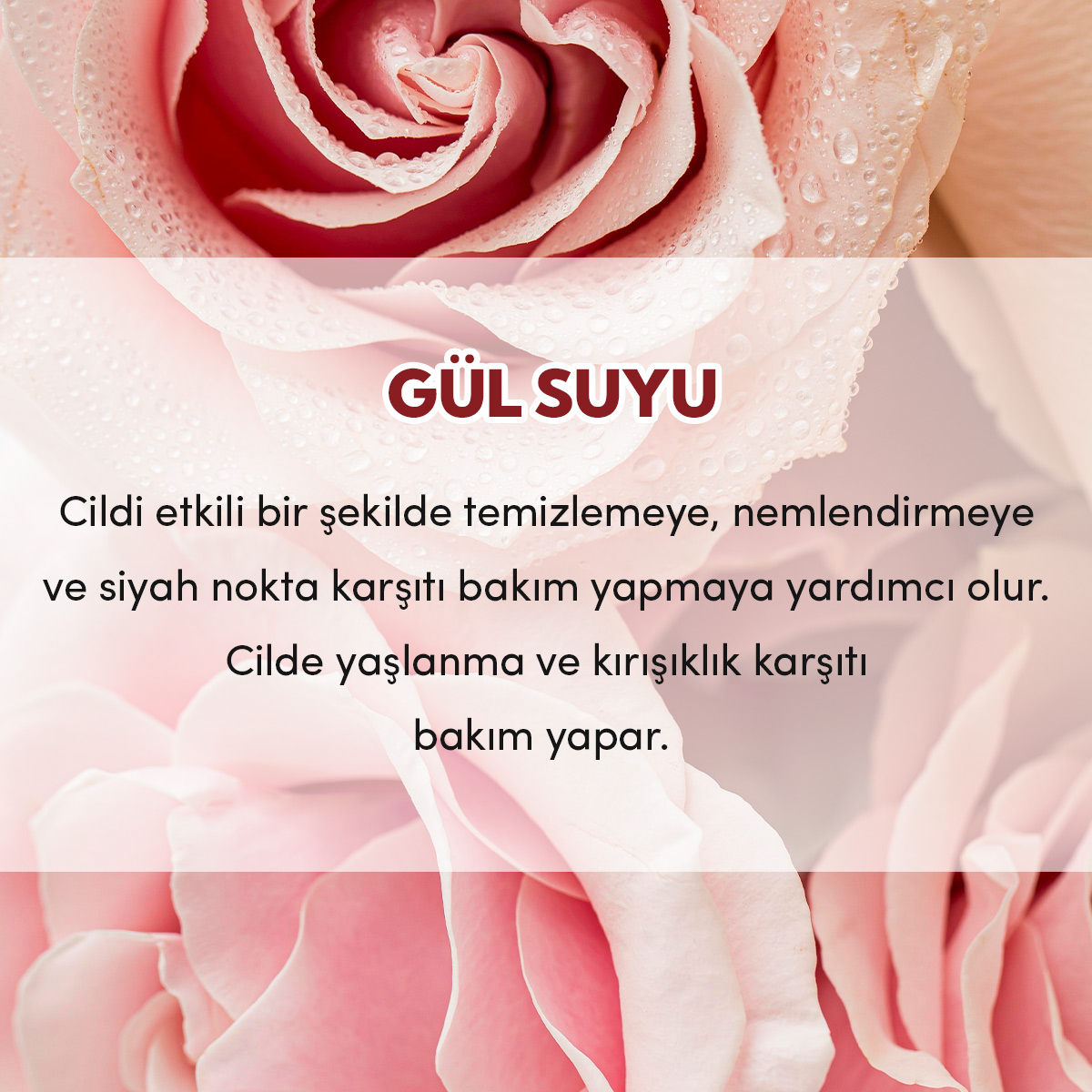 8684215391706---KARE-3